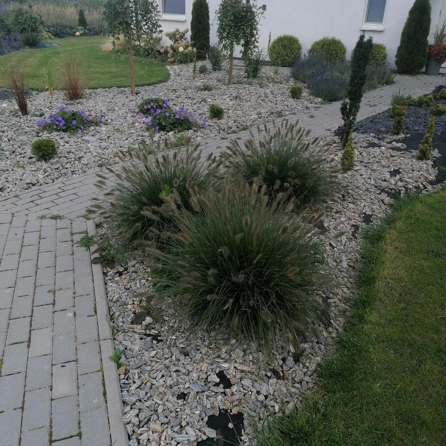 Villa "Lawendowe Wzgorze" Zastan Exterior foto